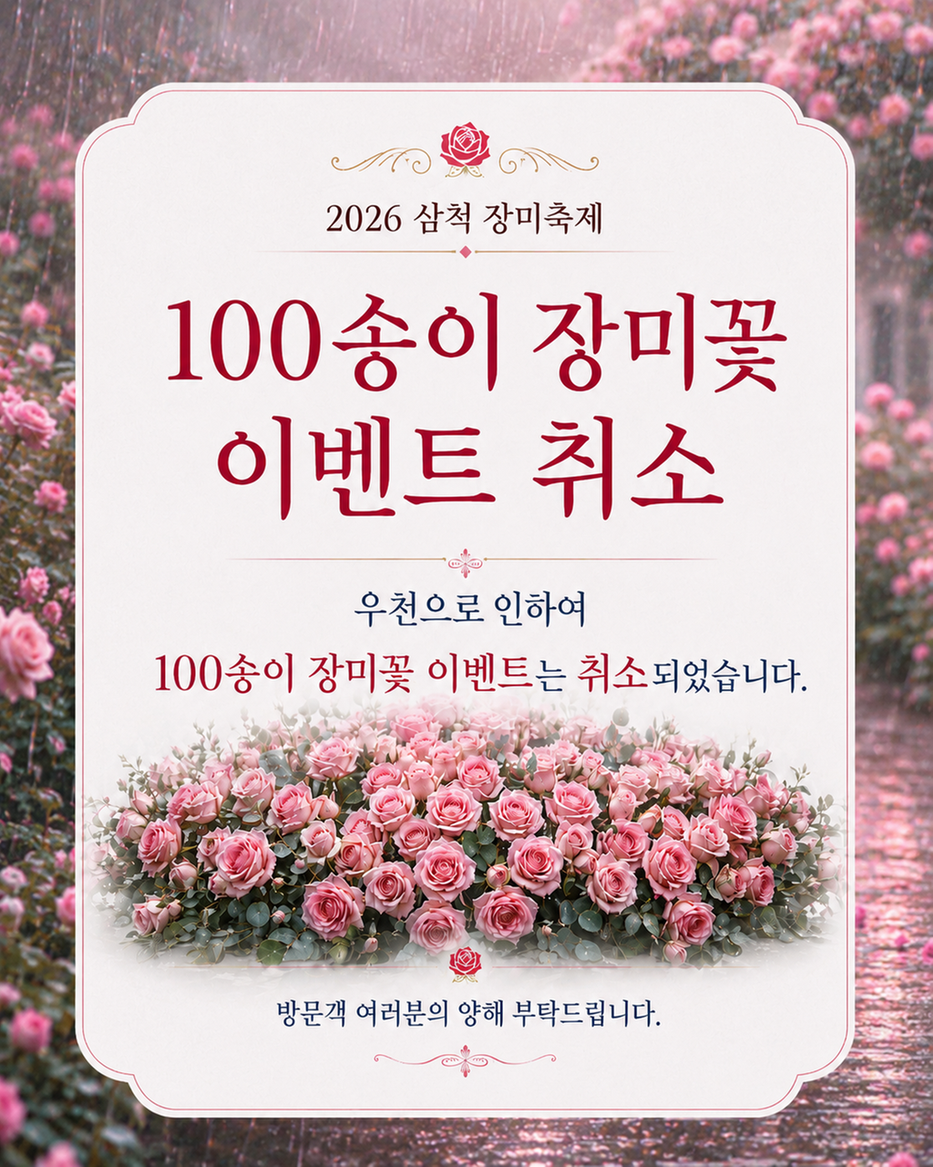 100송이 장미꽃 이벤트 취소안내