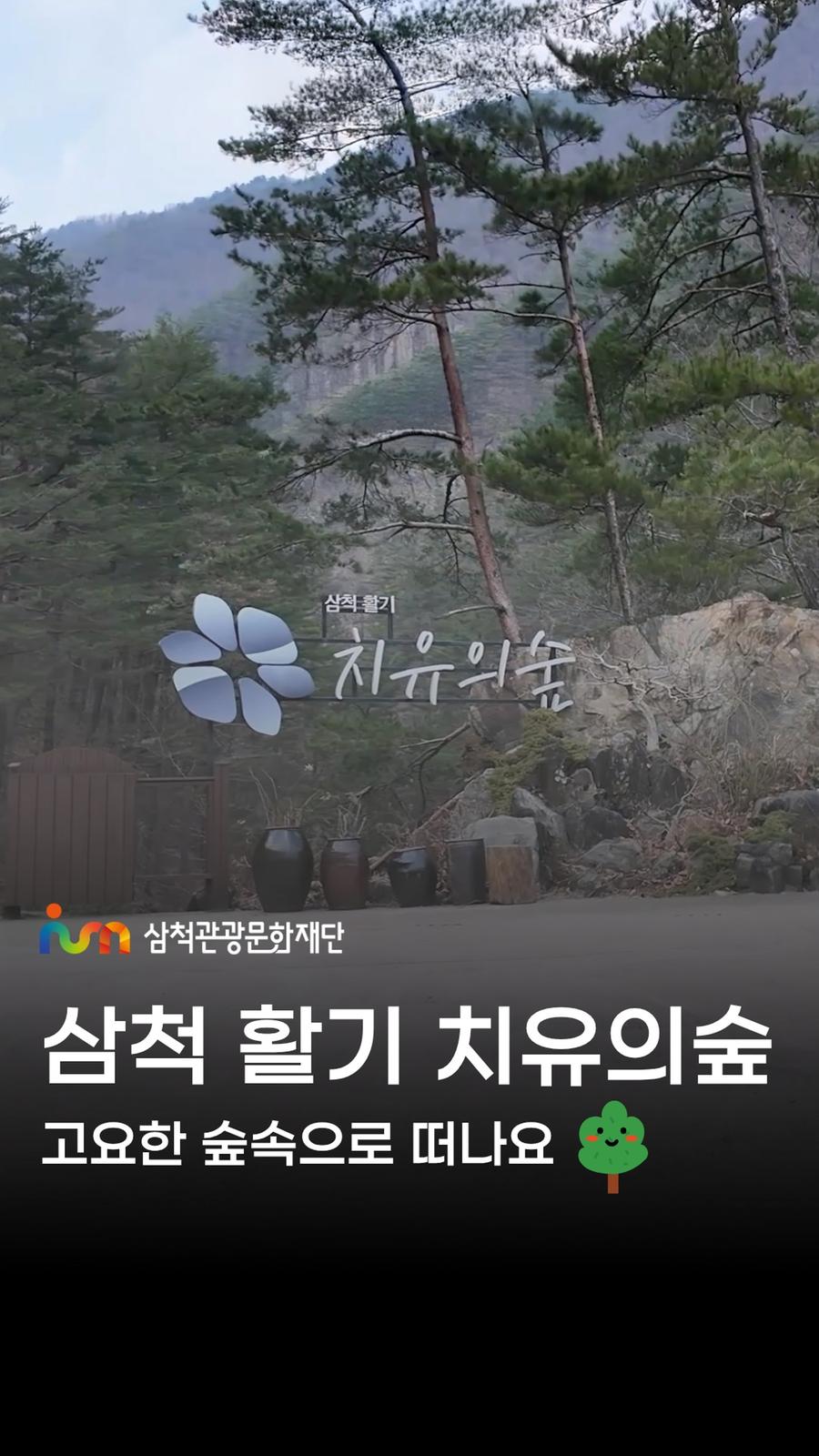 삼척 활기 치유의숲