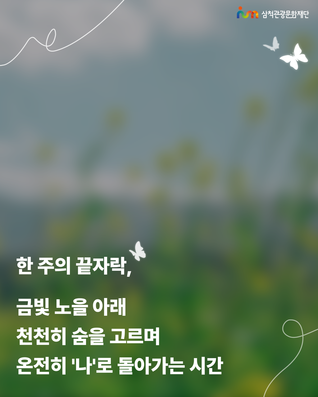 2번째 사진으로 전환