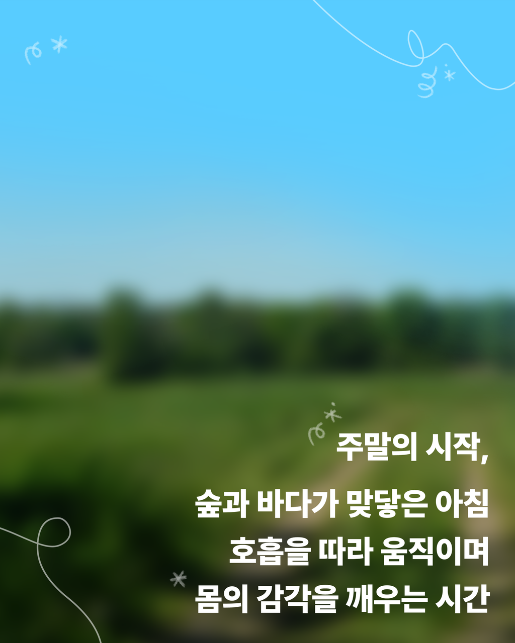 3번째 사진으로 전환
