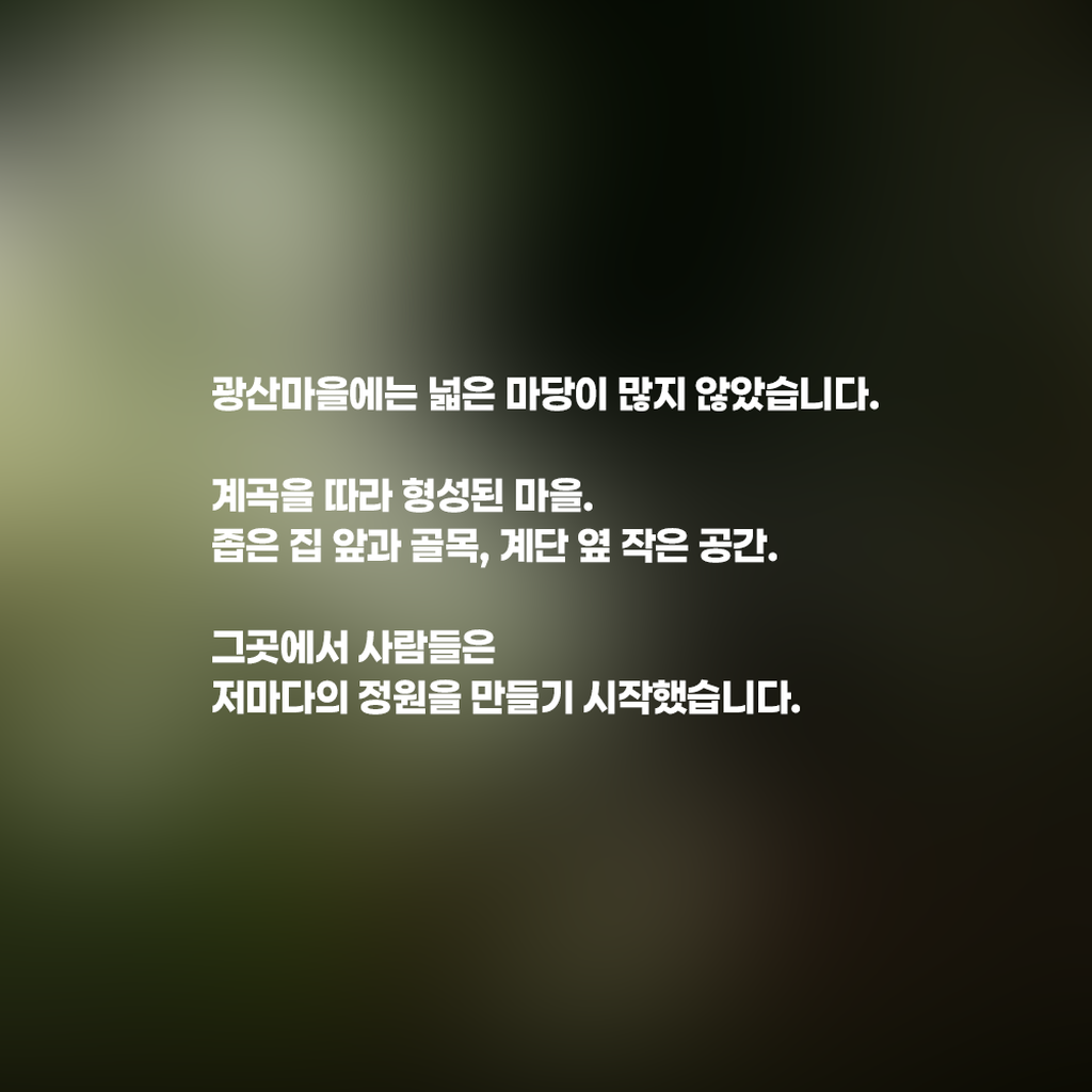 3번째 사진으로 전환