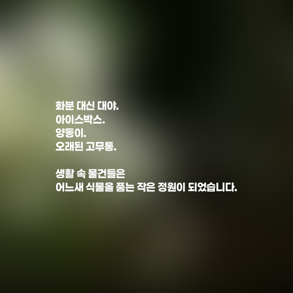4번째 사진으로 전환