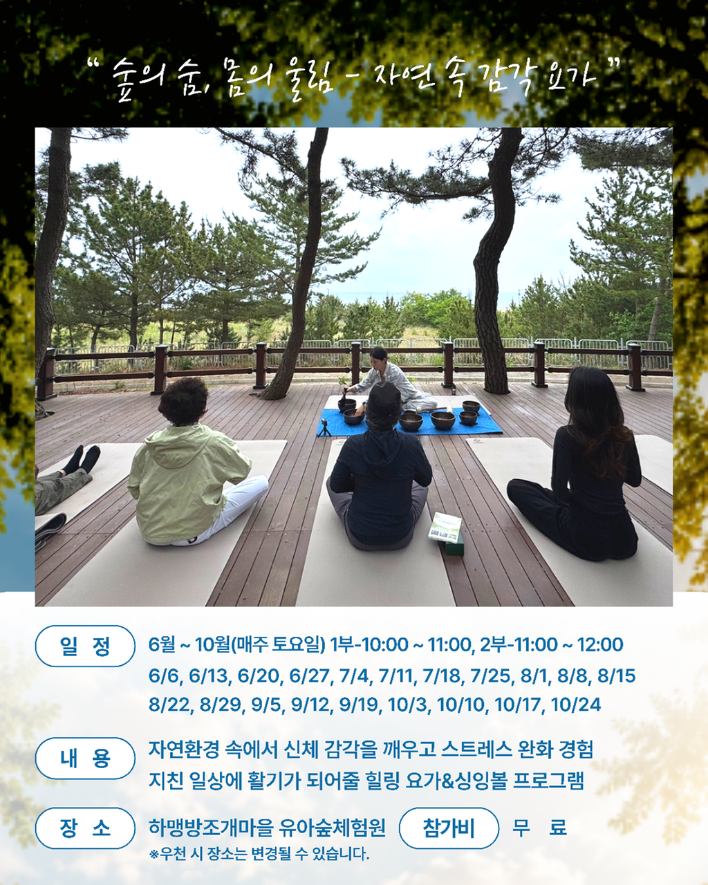 5번째 사진으로 전환