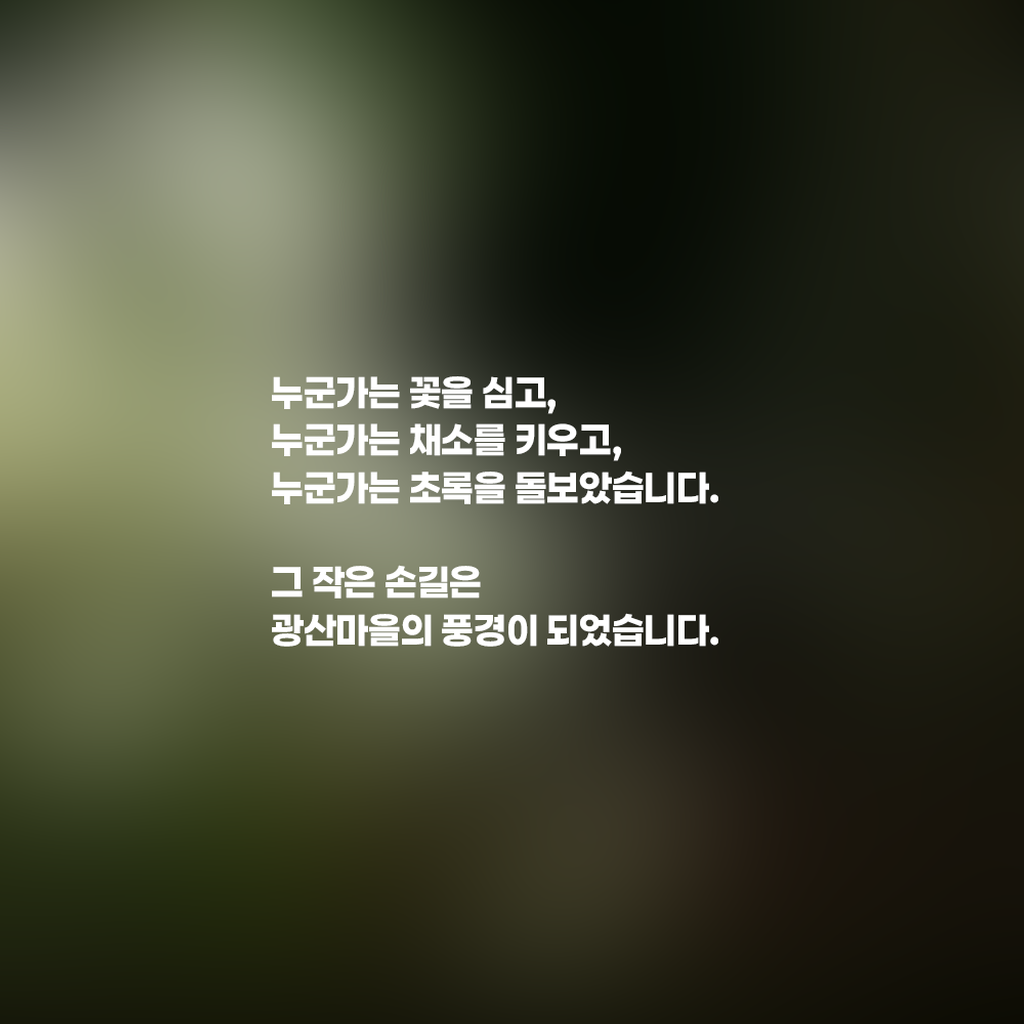 5번째 사진으로 전환