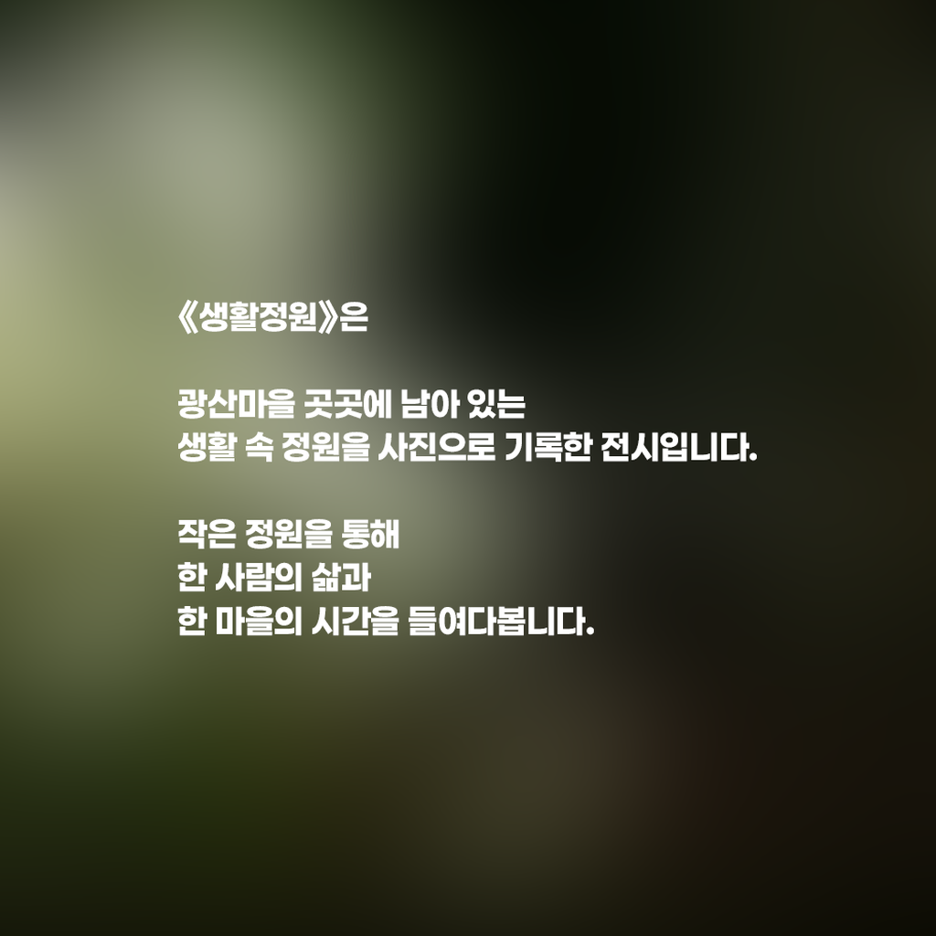 6번째 사진으로 전환