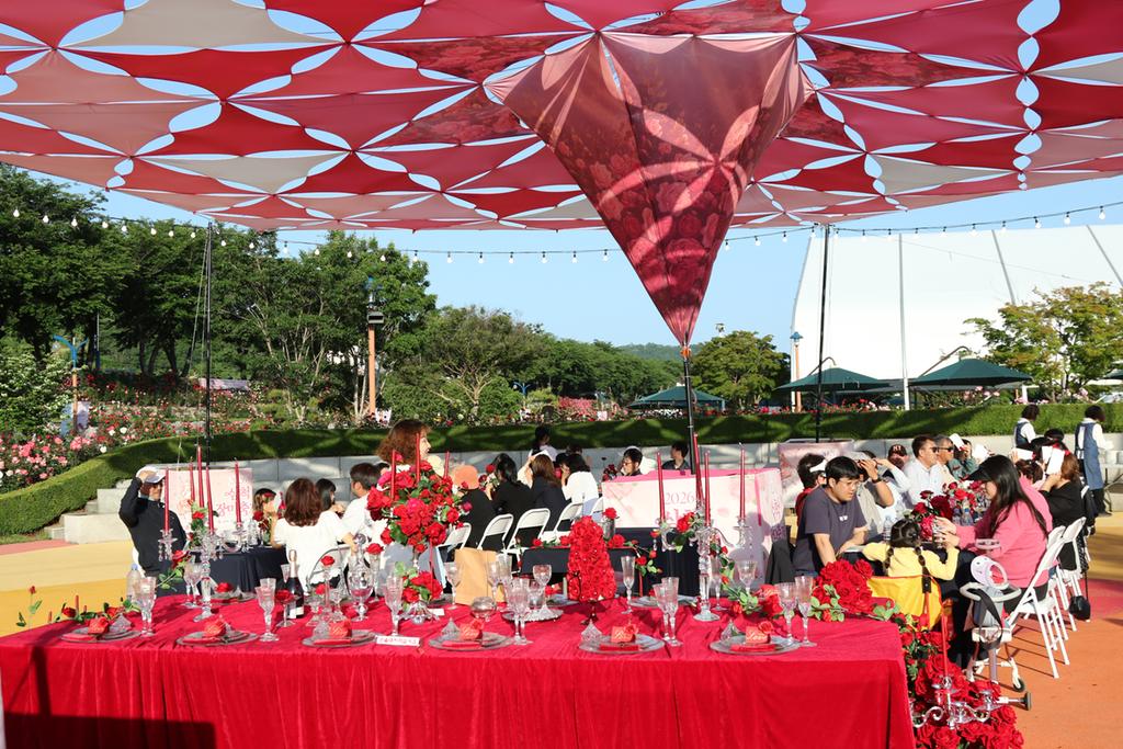 8번째 사진으로 전환